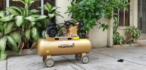 Giới thiệu về máy nén khí dây đai Pegasus TM-V-0.12/8-70L