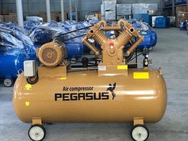 Giới thiệu chung về máy nén khí Pegasus TM-V-0.25/12.5-120L 220V