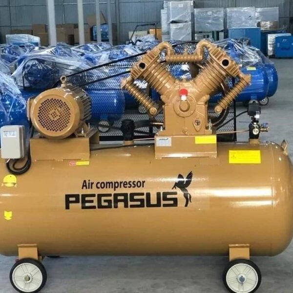 Giới thiệu chung về máy nén khí Pegasus TM-V-0.25/12.5-120L 220V