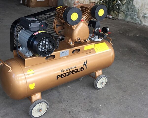 Máy nén khí dây đai Pegasus TM-V-0.36/8-120L 380V