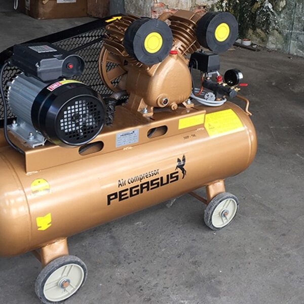 Máy nén khí dây đai Pegasus TM-V-0.36/8-120L 380V