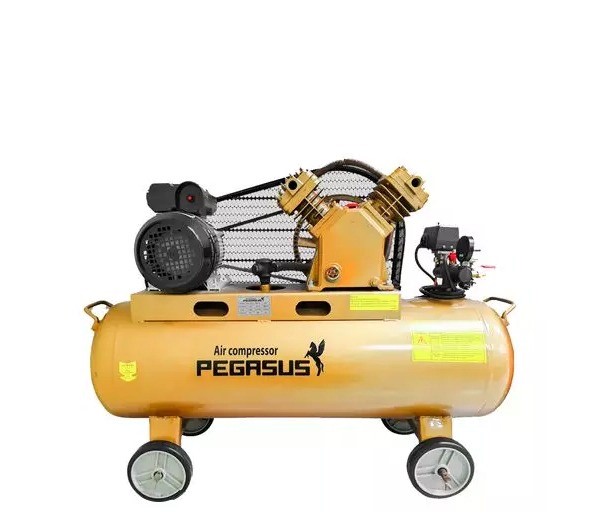 Tìm hiểu máy nén khí Pegasus TM-W-0.67/8-330L dây đai Alotools
