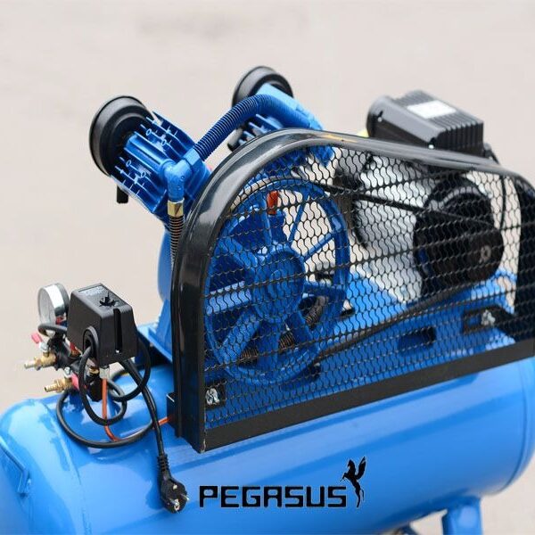 Hướng dẫn sử dụng máy nén khí dây đai Pegasus TM – W-0.36/8-230L 220V AloTools