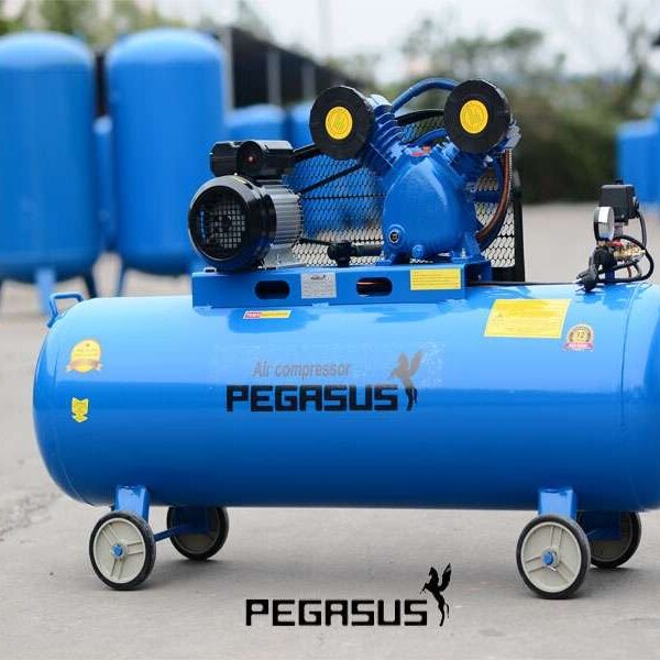 Máy nén khí dây đai Pegasus TM-W-0.36/8 230L 380V AloTools