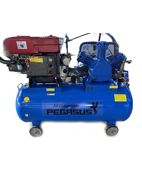 Máy nén khí chạy bằng dầu Diesel TM-W-1.6/12.5-500L