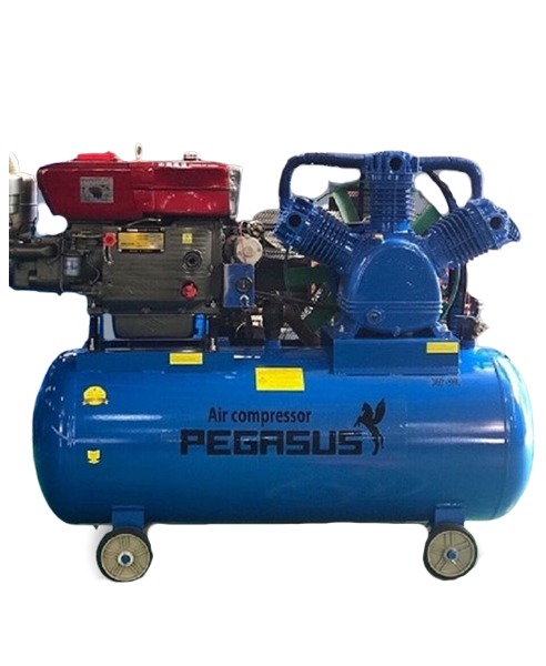 máy nén khí chạy bằng dầu Diesel TM-W-1.6/8-500L