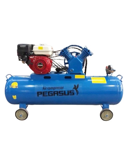 máy nén khí đầu nổ chạy bằng xăng TM-V-0.25/8-120L