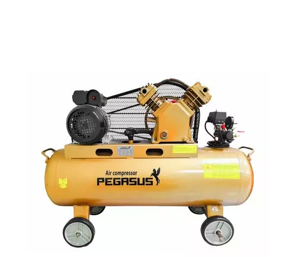 Máy nén khí dây đai Pegasus TM-V-0.17/8-70L Alotools