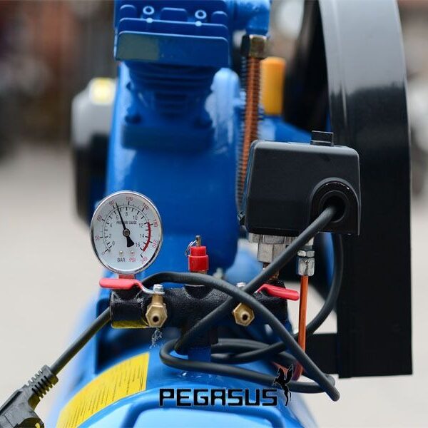 Tổng quan về máy nén khí dây đai Pegasus TM-V-0.17/8-70L Alotools