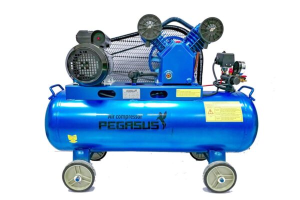 Giới thiệu chung về máy nén khí dây đai Pegasus TM-V-0.17/8-180L