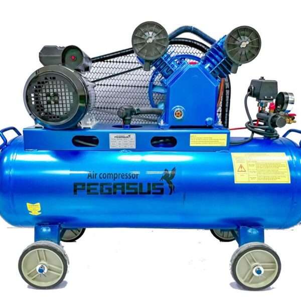 Giới thiệu chung về máy nén khí dây đai Pegasus TM-V-0.17/8-180L