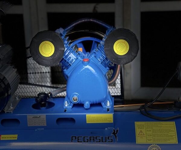 Giới thiệu tổng quan về máy nén khí dây đai Pegasus TM-V-0.17/8-120L 220V Alotools