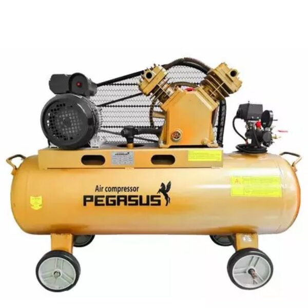 Hướng dẫn sử dụng máy nén khí Pegasus 120L TM-V-0.36/8 220V