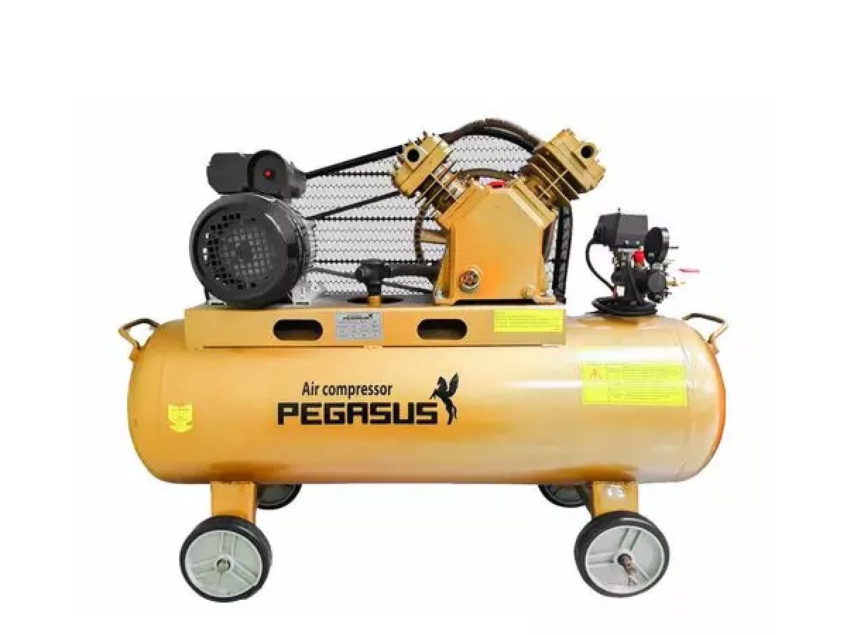 Hướng dẫn sử dụng máy nén khí Pegasus 120L TM-V-0.36/8 220V