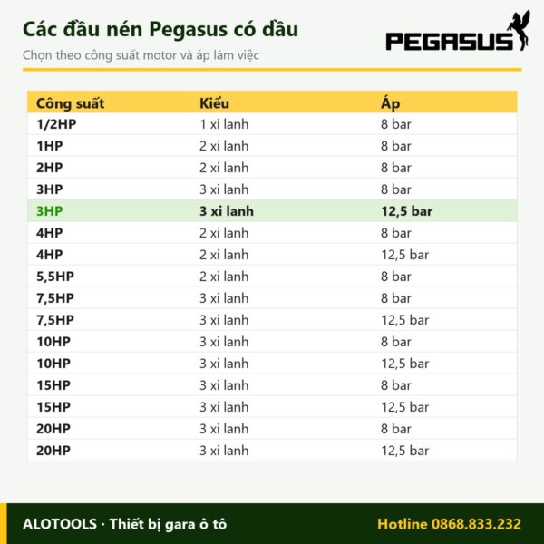 đầu máy nén khí 3HP 12,5 bar - hình 3