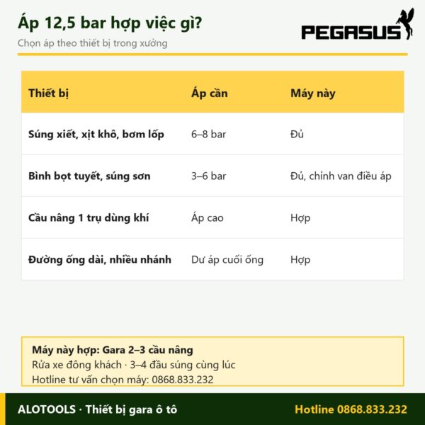 Máy nén khí 500 lít 7,5HP Pegasus dây đai, áp 12,5 bar, điện 380V 7 máy nén khí 500 lít 7,5HP áp 12,5 bar - hình 3