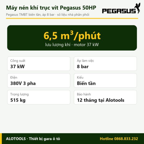 máy nén khí biến tần Pegasus 50HP - hình 2
