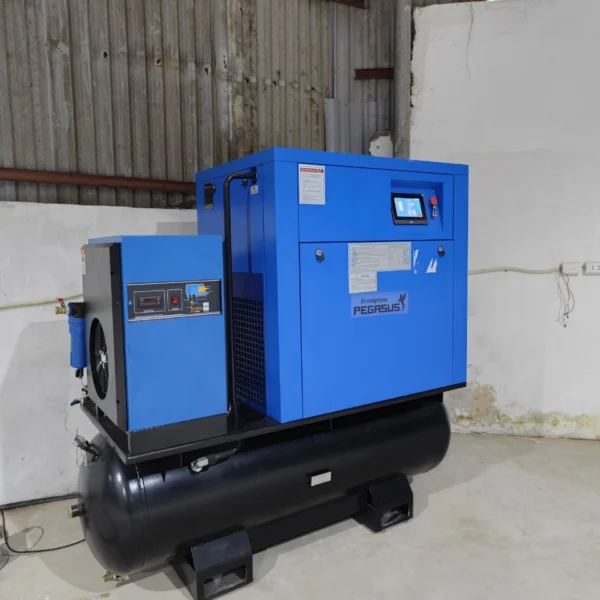 máy nén khí cao áp Pegasus 30HP - hình 6