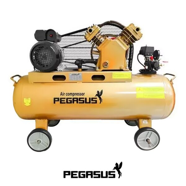 Máy nén khí dây đai Pegasus TM-V-0.12/8-70L