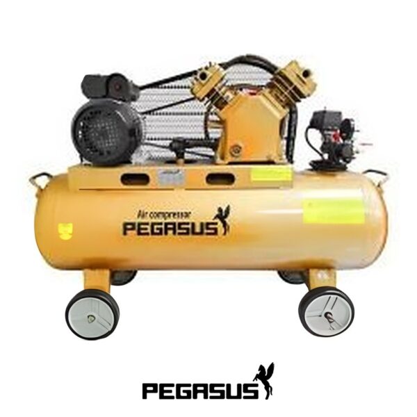 Máy nén khí dây đai Pegasus TM-V-0.17/8-180L