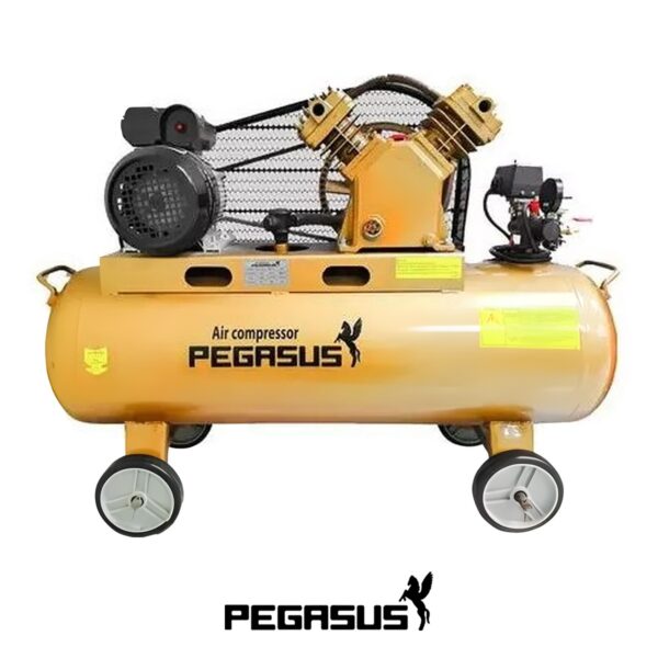 Máy nén khí dây đai Pegasus TM-V-0.17/8-70L Alotools