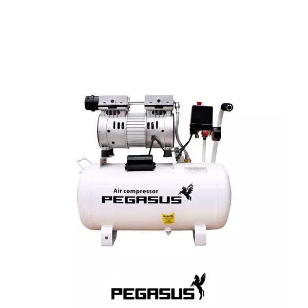Máy nén khí không dầu 25 lít Pegasus 0,75HP, đầu nén 550W, điện 220V 11 Máy nén khí không dầu 25 lít Pegasus 0,75HP, đầu nén 550W, điện 220V