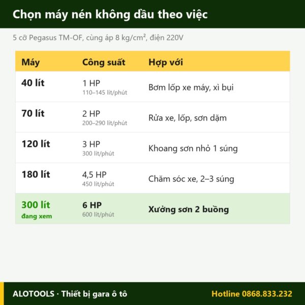 máy nén khí không dầu 300 lít - hình 3