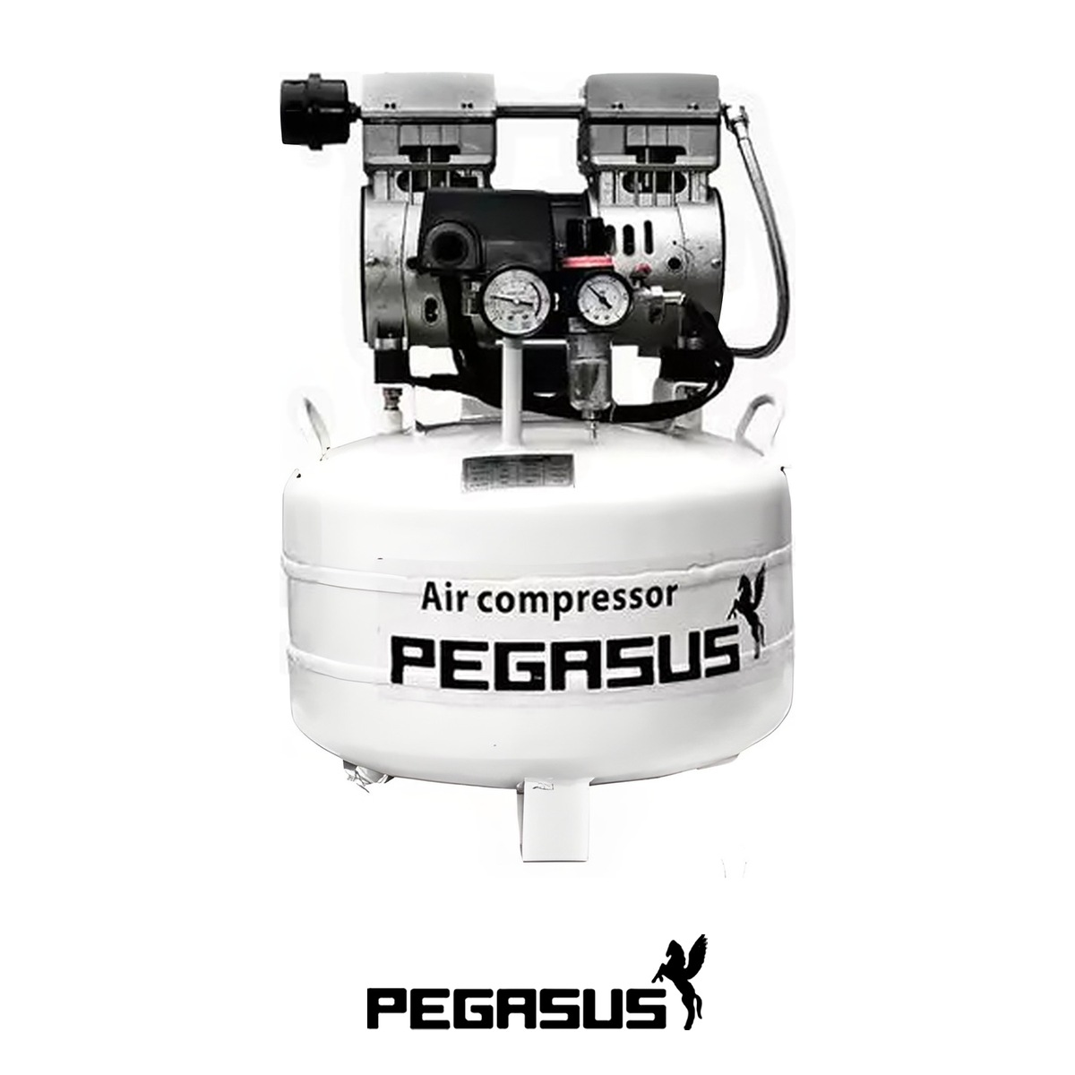 Máy nén khí không dầu 50 lít Pegasus 0,75HP, đầu nén 550W, điện 220V 8 máy nén khí không dầu 50 lít 550W
