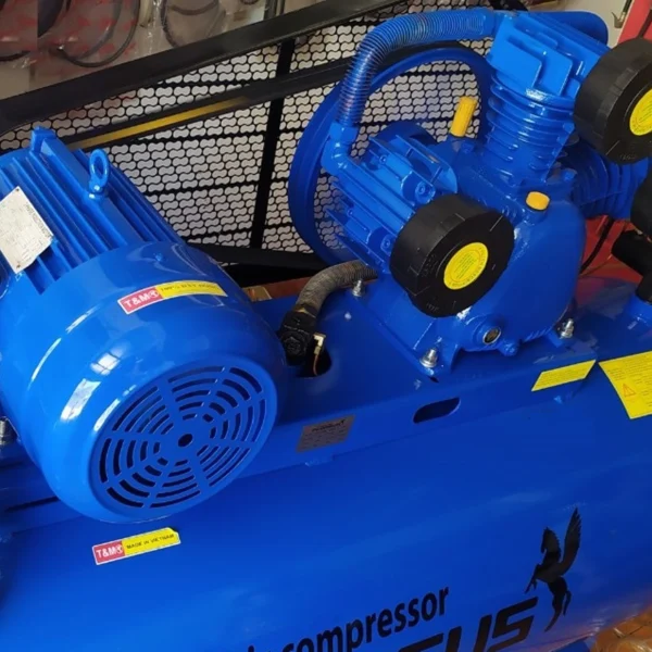 máy nén khí Pegasus 10HP 330 lít - hình 2