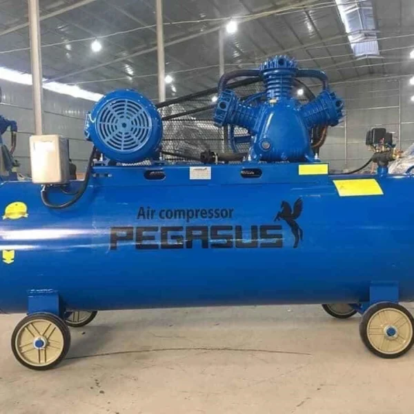 máy nén khí Pegasus 20HP 330 lít 8 bar - hình 2