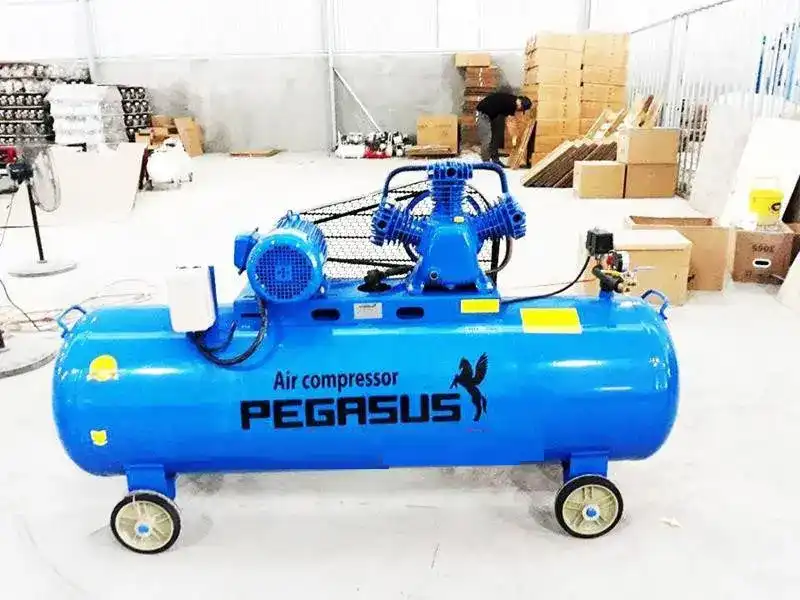 Máy nén khí Pegasus 4HP 120 lít dây đai, áp 8 bar, điện 380V 17 Máy Pegasus 4HP 120 lít - ảnh 5