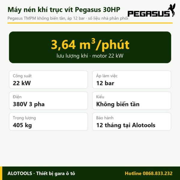 máy nén khí trục vít 30HP 12 bar - hình 2