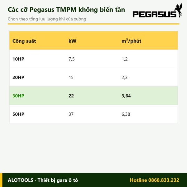 máy nén khí trục vít 30HP 12 bar - hình 3