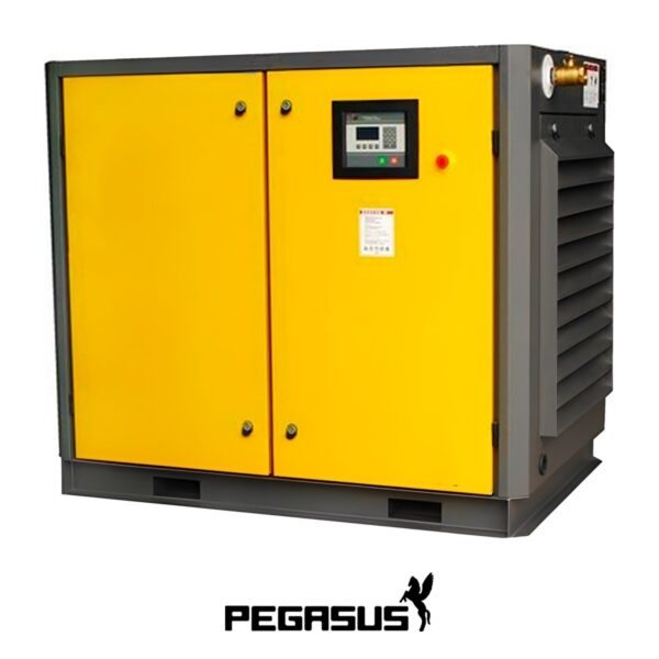 máy nén khí trục vít 30HP 12 bar