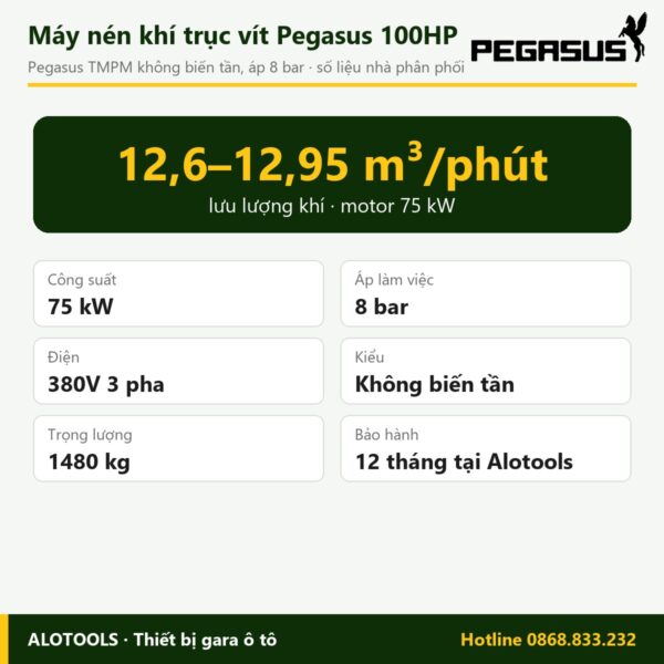 máy nén khí trục vít Pegasus 100HP - hình 2