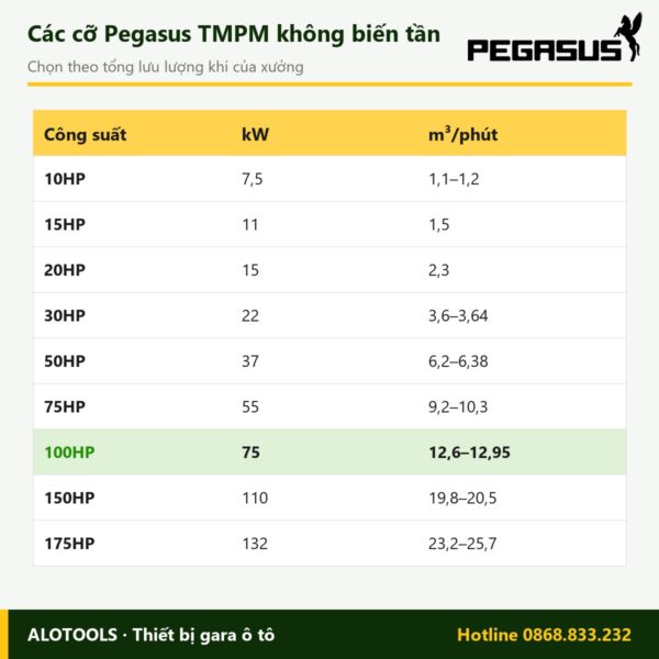 máy nén khí trục vít Pegasus 100HP - hình 3