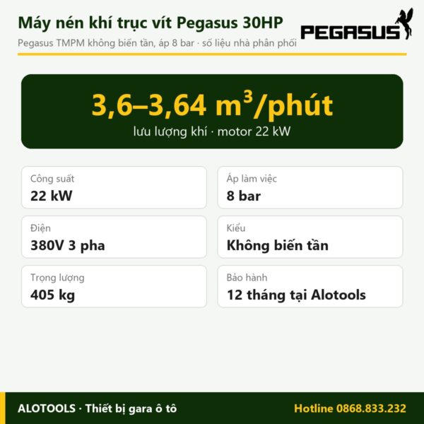máy nén khí trục vít Pegasus 30HP - hình 2