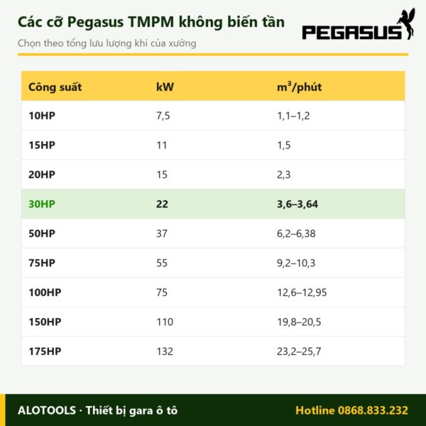 máy nén khí trục vít Pegasus 30HP - hình 3